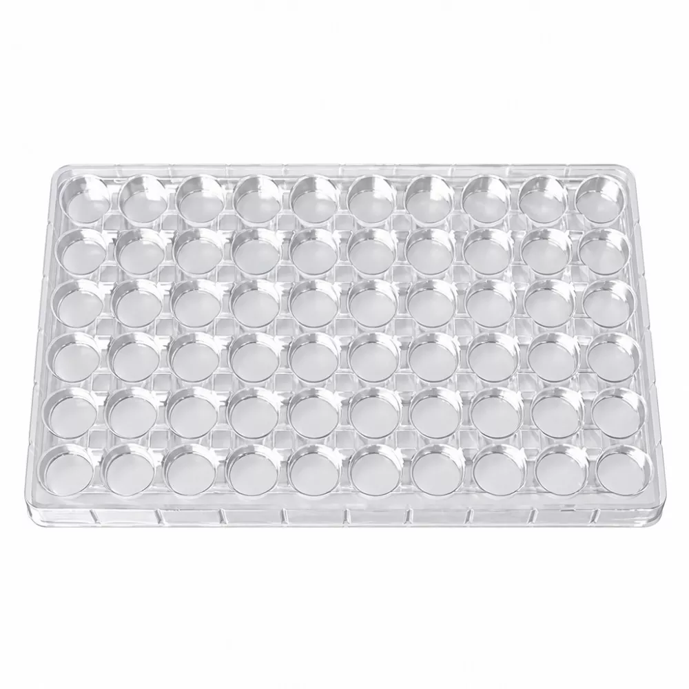 পরিবেশ বান্ধব খাদ্য-গ্রেড লিপস্টিক ট্রে